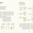 **Das Geburtsdilemma**: Menschen fällt die Geburt nicht leicht, wegen der großen Gehirne und schmalen Hüften. Theorien zur Entstehung existieren. Diagramme und Illustrationen zeigen Beckenanpassungen von Mensch, Gibbon, Totenkopfäffchen.