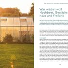Rechts ein Textblock mit dem Titel "Was wächst wo? Hochbeet, Gewächshaus und Freiland". Links ein Gewächshaus im Sonnenuntergang.