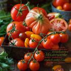Zitat: „Man muss keine ausgefallenen und komplizierten Meisterwerke kochen...“; Tomaten in unterschiedlichen Sorten und Farben.