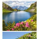 01 SO 08 15 22 29. Ein Vogel sitzt auf Alpenrosen, ein Bergsee mit Hütten, blühende Rhododendren.