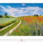 Kalender zeigt August. Ein Pfad führt durch blühende Felder mit bunten Blumen und einem weitläufigen Himmel.