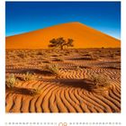 08 August. Landschaft mit oranger Sanddüne, tiefblauer Himmel, welliger Sandboden, vereinzelte Büsche und Baum.