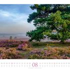 Stegige Heidelandschaft in der Veluwe. Kalender zeigt August 2023. Große Kiefer, lila Heidekraut, blauer Himmel, Nebel.
