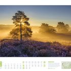 08 2027, Augustkalender. Heideblüten im Nebel, Sonnenstrahlen durch einen Baum. Text: "FREUDENTHALWEG". Karte unten rechts.