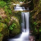„Kein Baum grünt ohne Kraft zum Grünen...“ – Zitat von Hildegard von Bingen. Darunter ein August-Kalender. Ein Wasserfall im Wald.