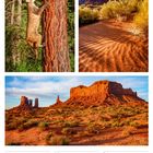 Text: 25 Mo, 26 Di, 27 Mi, 28 Do, 29 Fr, 30 Sa, 31 So, 04. Woche 2027, Januar.  

Ein Tier klettert auf einen Baum, daneben rote Wüstenlandschaft.