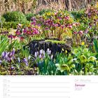 04. Woche, Januar 2027. Waldbeet mit orientalischer Nieswurz, Frühlings-Krokus, Narzissen. Unterseite: Kalenderlayout.