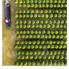 Text oben: "Chrysanthemen im Blumendorf Sa Đéc - Vietnam". Unten: Kalenderwoche 4, Januar 2027. Links ein Boot auf Wasser.