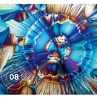 Text: "Knit Gait - The Art of Science - 08". Bunte, kaleidoskopische Muster in Blau- und Brauntönen, kreisförmig angeordnet.