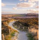 07 FEBRUAR, MO 15, DI 16, MI 17, DO 18, FR 19, SA 20, SO 21. Ein sandiger Pfad durch hügelige Heide, von Holzpfosten gesäumt.