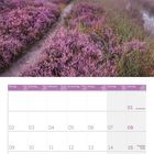 Kalender für August 2027. Oben: Ein Weg durch blühende Heide, umgeben von Nebel.