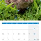 Kalender mit Wochen von Montag bis Sonntag. 
Ein Igel leckt seine Nase, umgeben von grünen Blättern und blauen Blumen.