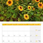 Kalender für August 2027, Wochenbeginn Montag. Oben Sonnenblumenfeld bei Sonnenuntergang.