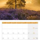 Kalenderseite für August 2027 mit Sonnenaufgang hinter einem Baum auf einer Heidefläche.