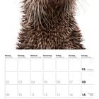 Kalenderblatt: August 2027. Überschrift: Wochen- und Tagesnamen. Tierfoto: Nahaufnahme eines Fischotters.