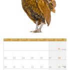 Kalender für August 2027. Ein goldener Sebright-Hahn ist prominent abgebildet.