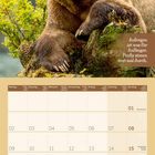 Text: "Aufregen ist was für Anfänger. Profis atmen erst mal durch." Ein Bär lehnt entspannt auf einem Stein. Darunter ein Kalender für August 2027.