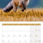 Kalender für August 2027. Ein Fuchs springt in einem Feld. Wochentage und Daten sind aufgelistet.