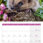 Kalender für August 2027, erster mit Feiertag. Oben ein Igel auf Baumstumpf mit rosa Blüten. Grünen Blätter im Hintergrund.