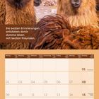 Text: "Die besten Erinnerungen entstehen durch dumme Ideen mit besten Freunden." Zwei Lamas in einer kargen Landschaft oben. Unten ein Kalenderblatt für August 2027.