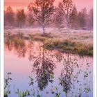 Zitat: "Ahme den Gang der Natur nach. Ihr Geheimnis ist Geduld. Ralph Waldo Emerson." Ein Moor mit Bäumen im Sonnenaufgang.