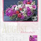 August, Phloxduft. Ein Korb mit bunten Phloxblüten und anderen Blumen, Kalender mit Datumsangaben für den Monat August.
