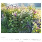 "8 2027" und Zahlen für Tage des Monats. Üppiger Garten mit bunten Blumen und einem Holzzaun im Hintergrund.