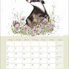 Kalender für August. Illustration eines Dachses in lila Blumen. Wochentage: Montag bis Sonntag, spezielle Tage markiert.