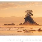 Kalenderblatt für August mit ruhigem Meer, Felsen, einem einzelnen Baum und einem sanften, orangefarbenen Himmel bei Sonnenuntergang.