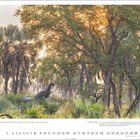 A TASTE OF PEACE. Ein Elefantenbulle frisst in der Abenddämmerung. Sonnenlicht scheint durch Bäume auf den Elefanten.