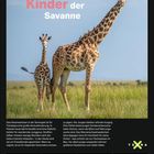 "Kinder der Savanne" in großen Buchstaben. Ein Bild mit zwei Giraffen in einer grasbewachsenen Landschaft. Darunter ein Kalender für Februar.