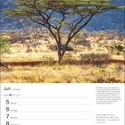 Kalenderblatt für Juli. Baum mit Nester des Webervogels in afrikanischer Landschaft, Zitat von William Blake.