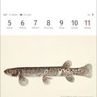 Kalender: Juli, Woche 27, Tage 5 bis 11, Montag bis Sonntag. Illustration eines langgestreckten, gefleckten Fisches.