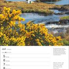 Juli, 27. Woche, Kalender. Blühender Ginster beim Sreceb Waterfall, Connemara. Landschaft mit Fluss und kleinem weißen Häuschen.