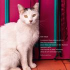 Text: 
Die Katze

In meinem Haus wünsche ich mir eine Frau mit Vernunft, einen Kater, der zwischen den Büchern spazieren geht, und Freunde zu jeder Jahreszeit, ohne die ich nicht leben kann.

Guillaume Apollinaire

Darunter sind Kalenderdaten. 

Beschreibung: Eine weiße Katze sitzt vor einer pinken Wand mit türkisfarbenen Details.