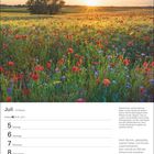 Text: "Juli", "Woche 27", "Krebs 21.6.–22.7.", Zitat: "Wenn Blumen... Disharmonie entstehen." Darunter eine Wiesenlandschaft bei Sonnenuntergang.