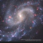 März, 9. Woche, 1. bis 7. Diese Woche markiert Tage in einem Kalender. Galaxie mit leuchtenden Sternen und spiralförmigen Armen.