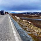 Ein LKW mit "FINDIP" auf der Autobahn; sieben Rentiere rennen rechts die Böschung hinauf.