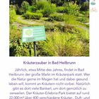 Kräuterzauber in Bad Heilbrunn: Großer Kräuter-Markt zur Jahresmitte, 400 Pflanzenarten, Park mit Führungen und Sitzplätzen.