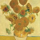 "Vincent" auf der Vase. Eine Illustration zeigt Sonnenblumen in einem gelben Raum.