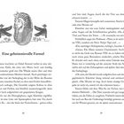 Titel: "Eine geheimnisvolle Formel". Text beschreibt eine Entdeckung in einer ägyptischen Grabkammer mit Sarkophag.