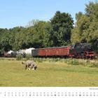 August, Kalendarium. Dampflok zieht Güterwagen, Weide mit Nashörnern, Bäume im Hintergrund.
