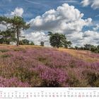Kalender August 2027, "Die Eifel - Wacholderheide". Wiese mit lila Heide und Bäumen unter blauem Himmel mit Wolken.
