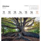 "Oktober KW 41, Montag 11 bis Sonntag 17 in Schwarz und Rot. Darunter ein großer Baum mit ausladenden Ästen im Sonnenlicht."