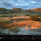 Text: USA 08, Bisonherde im Theodore Roosevelt National Park [North Dakota]. 

Beschreibung: Grüne Wiesen mit Bisons vor felsiger Landschaft bei Sonnenuntergang. Unten ein Kalender.