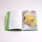 Ein aufgeschlagenes Buch zeigt links unscharfen Text und rechts ein Bild mit gelbem Glasobjekt und Drahtgeflecht.