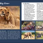 „Die ‚Big Five‘. Im Überblick: Löwe; Leopard; Afrikanischer Elefant; Nashorn; Kaffernbüffel.“ Bilder von Wildtieren.