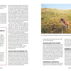 "Urlaub mit Vierbeinern in Dänemark" informiert über Regeln für Hunde an Stränden. Rechts ein Hund auf einem grasbewachsenen Hügel.