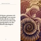 "Denk daran, genauso wie die Sandhügel [...] überlagert." Rechts geschwungene, muschelartige Illustrationen in Braun- und Goldtönen.