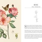 "ROSE, Rosa x damascena" steht oben rechts. Links ist eine Illustration von Rosen mit Schmetterling.